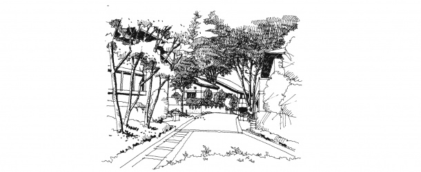 ・既存樹林のそのままの地形と、年を経た樹木を優先して住宅が計画された、宮崎台桜坂のまちなみ。